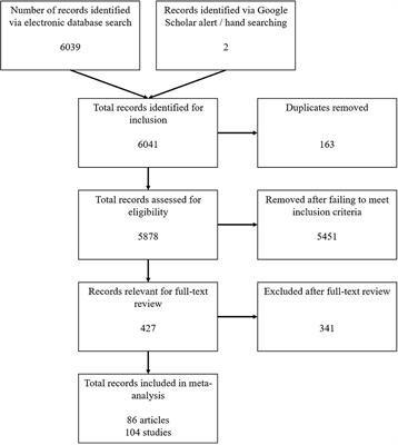 How I See Me—A Meta-Analysis Investigating the Association Between Identities and Pro-environmental Behaviour